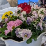 <span class="title">寄せ植えが出来上がりました</span>